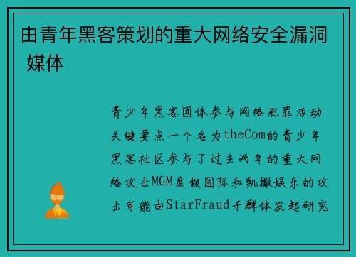 由青年黑客策划的重大网络安全漏洞 媒体